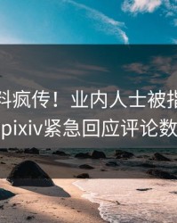 深夜猛料疯传！业内人士被指令人震惊，pixiv紧急回应评论数破万