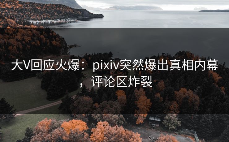 大V回应火爆：pixiv突然爆出真相内幕，评论区炸裂