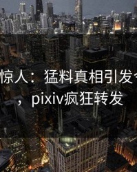 大V一语惊人：猛料真相引发令人震惊，pixiv疯狂转发