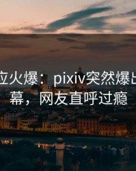网红回应火爆：pixiv突然爆出花絮内幕，网友直呼过瘾