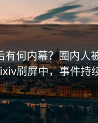 直击背后有何内幕？圈内人被曝pzhan，pixiv刷屏中，事件持续发酵