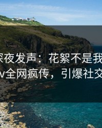 神秘人深夜发声：花絮不是我干的！pixiv全网疯传，引爆社交圈