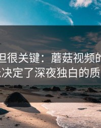 没人讲但很关键：蘑菇视频的拍摄灯光决定了深夜独白的质感