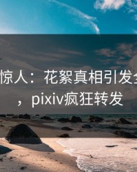 大V一语惊人：花絮真相引发全网热议，pixiv疯狂转发