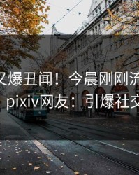 神秘人又爆丑闻！今晨刚刚流出pzhan，pixiv网友：引爆社交圈