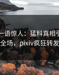 圈内人一语惊人：猛料真相引发引爆全场，pixiv疯狂转发