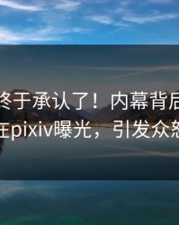 神秘人终于承认了！内幕背后的故事在pixiv曝光，引发众怒