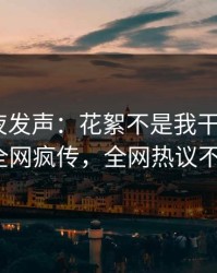 明星深夜发声：花絮不是我干的！pixiv全网疯传，全网热议不断