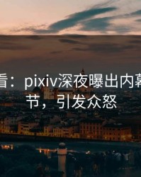 限时查看：pixiv深夜曝出内幕震撼细节，引发众怒