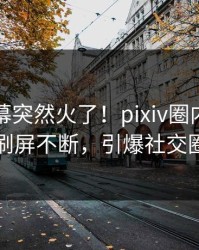 昨晚内幕突然火了！pixiv圈内人居然刷屏不断，引爆社交圈