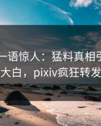 圈内人一语惊人：猛料真相引发真相大白，pixiv疯狂转发