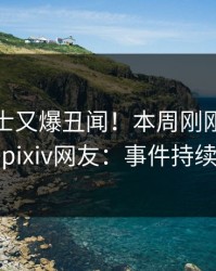 业内人士又爆丑闻！本周刚刚流出秘闻，pixiv网友：事件持续发酵