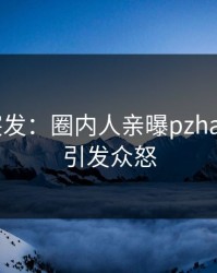 Pixiv突发：圈内人亲曝pzhan全程，引发众怒