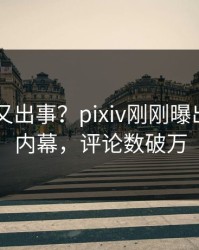 当事人又出事？pixiv刚刚曝出pzhan内幕，评论数破万