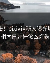 今晨直击！pixiv神秘人曝光爆料，真相大白，评论区炸裂