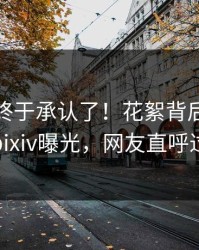 神秘人终于承认了！花絮背后的故事在pixiv曝光，网友直呼过瘾