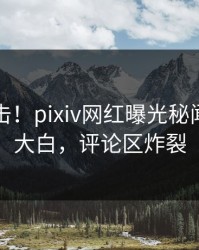 深夜直击！pixiv网红曝光秘闻，真相大白，评论区炸裂