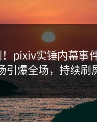 深夜刚刚！pixiv实锤内幕事件，大V现场引爆全场，持续刷屏