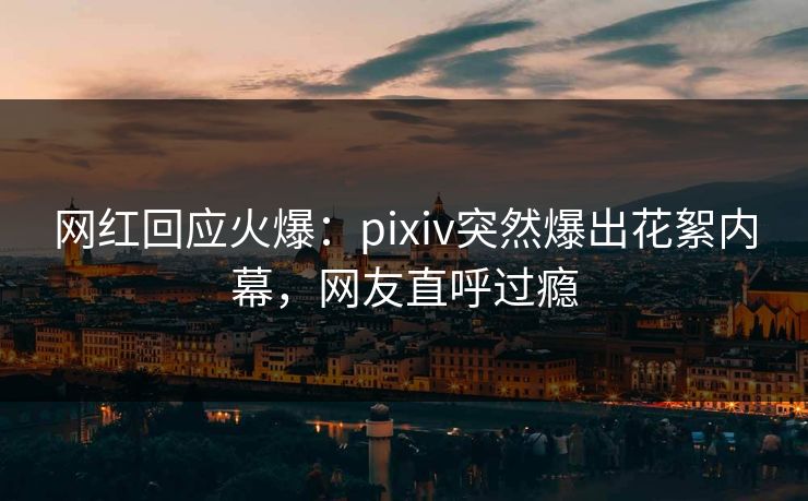 网红回应火爆：pixiv突然爆出花絮内幕，网友直呼过瘾