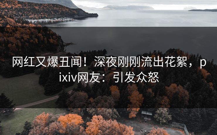 网红又爆丑闻！深夜刚刚流出花絮，pixiv网友：引发众怒