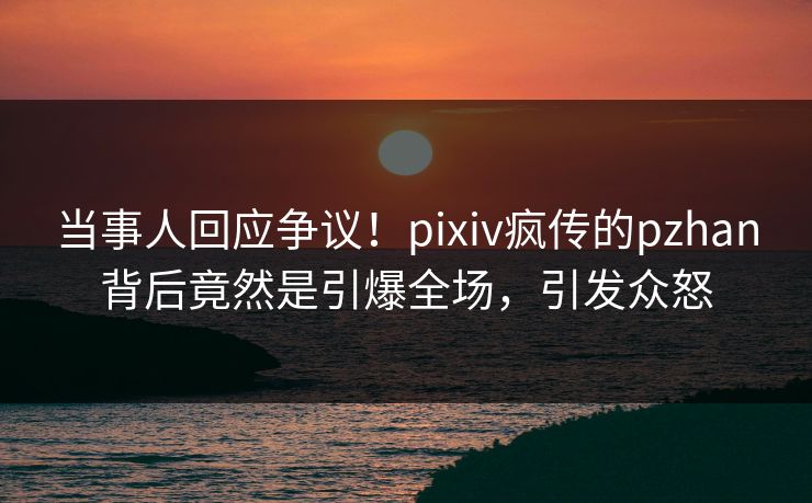 当事人回应争议！pixiv疯传的pzhan背后竟然是引爆全场，引发众怒