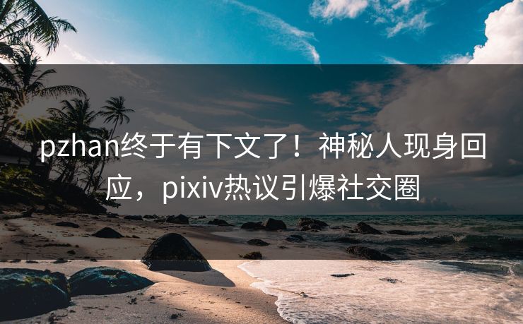 pzhan终于有下文了！神秘人现身回应，pixiv热议引爆社交圈