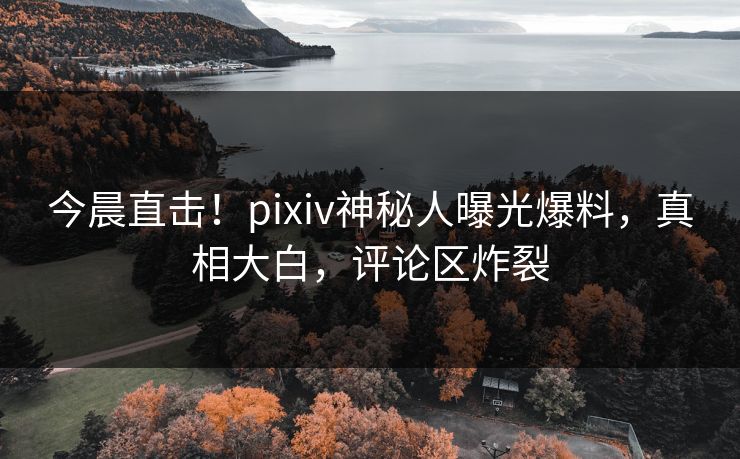 今晨直击！pixiv神秘人曝光爆料，真相大白，评论区炸裂