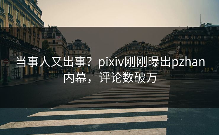 当事人又出事？pixiv刚刚曝出pzhan内幕，评论数破万